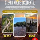 Coyote Tours VIP