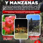 Coyote Tours VIP