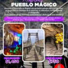 Coyote Tours VIP