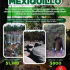 Coyote Tours VIP