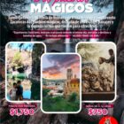 Coyote Tours VIP