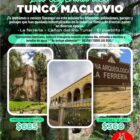 Coyote Tours VIP