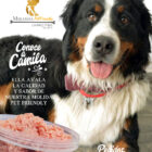 Miranda Select Carnes Finas