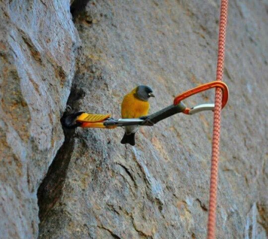 BuenaRocka Turismo de Aventura